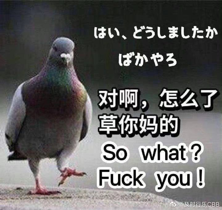 passengerseven's tweet photo. @welovepeace555 @t9iWBCCyL1QB6tg @iingwen 真不用和你大陆爹比，老子不稀罕和你这破省比🥳🥳🥳 https://t.co/y8sFKFj2mi