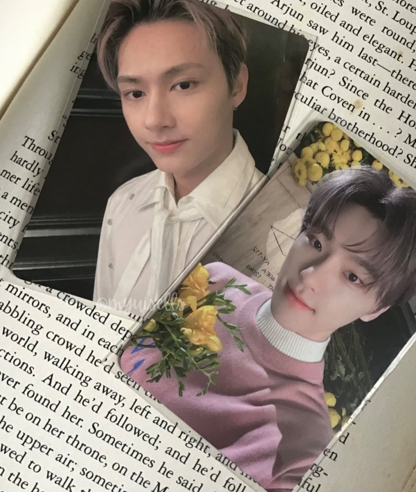 chuwihaulz's tweet photo. 🗯 . . .  #Cheolieproofs

hello! jun &amp; dino arrived safe, tysm for letting me adopt these pocas ! and thank you so much for the very very smooth transaction !!

🧾 : @cheolsimp17 https://t.co/KG1GQZeyQO