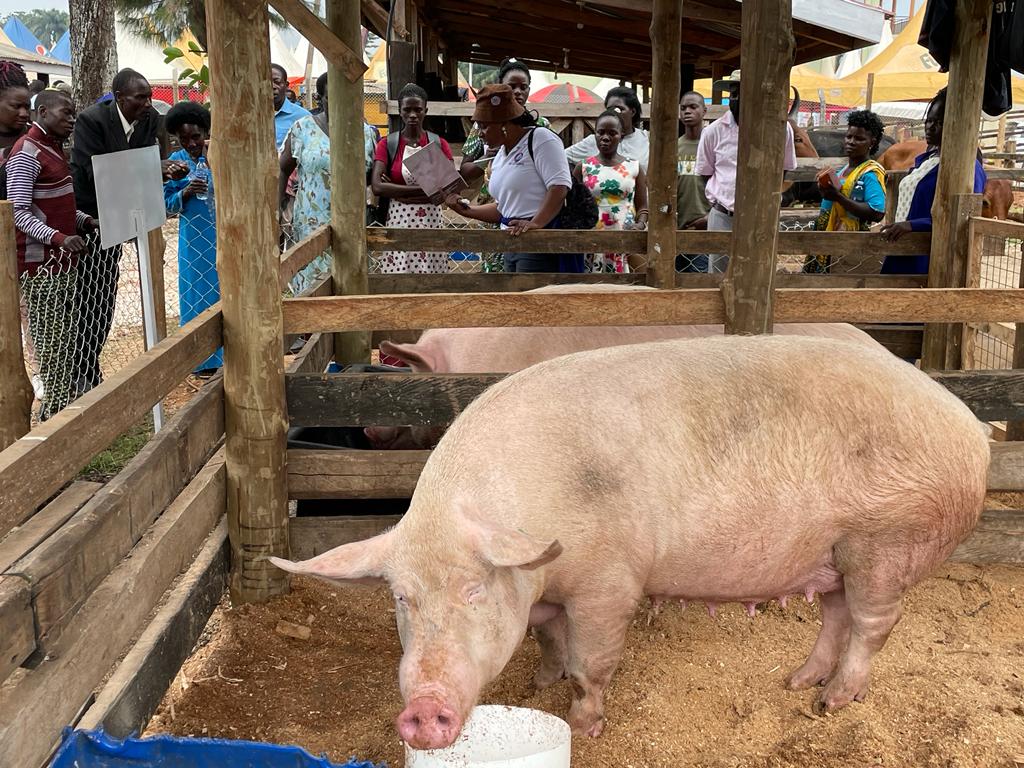 NATIONAL ANIMAL GENETIC RESOURCES CENTRE &DATABANK tweet media