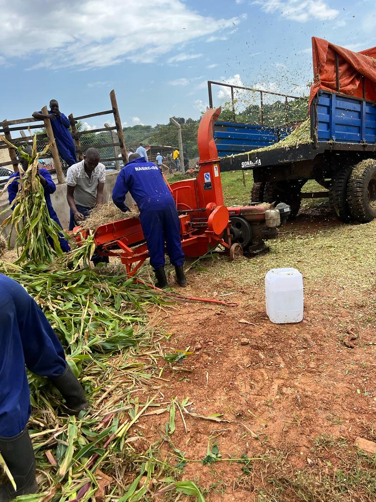 NATIONAL ANIMAL GENETIC RESOURCES CENTRE &DATABANK tweet media