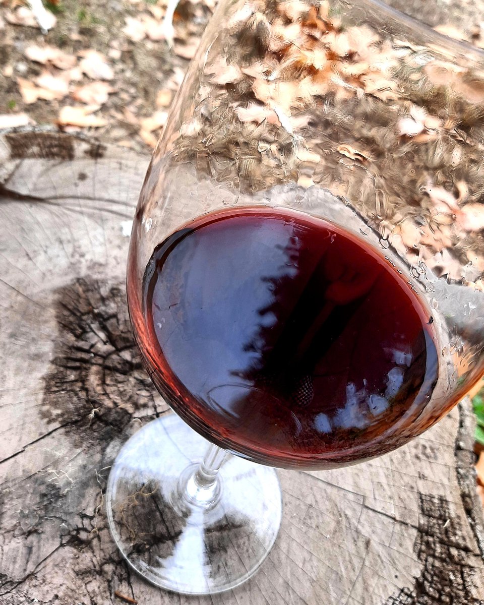 Recorda que podes adquirir los vinos pidiendonos nuestro whatsapp por DM!!!

#vinos #wines #winemaking #winemaker #winery #bodega #Vendimia #harvest #barricas #barrel #estiba #añejamiento #winepositive #compra #shop #online #fraccionar #hacedor #botellas #corchos #cork #vino