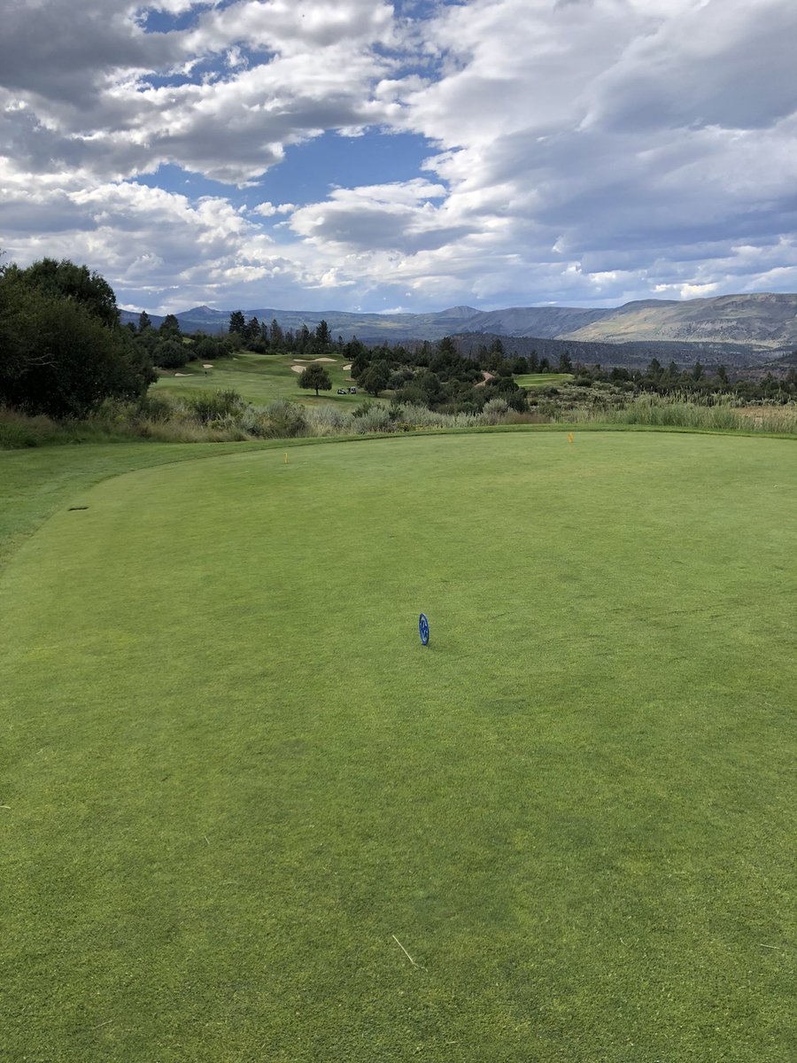 Todd Rago tweet media