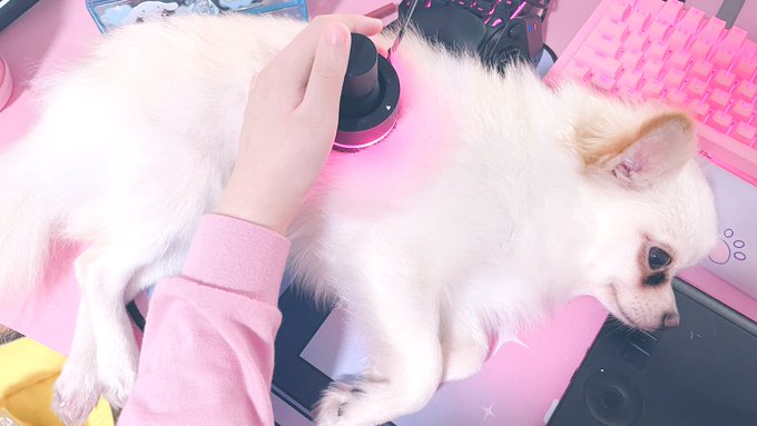 最高にもふもふ温度調整機能付き左手デバイス 