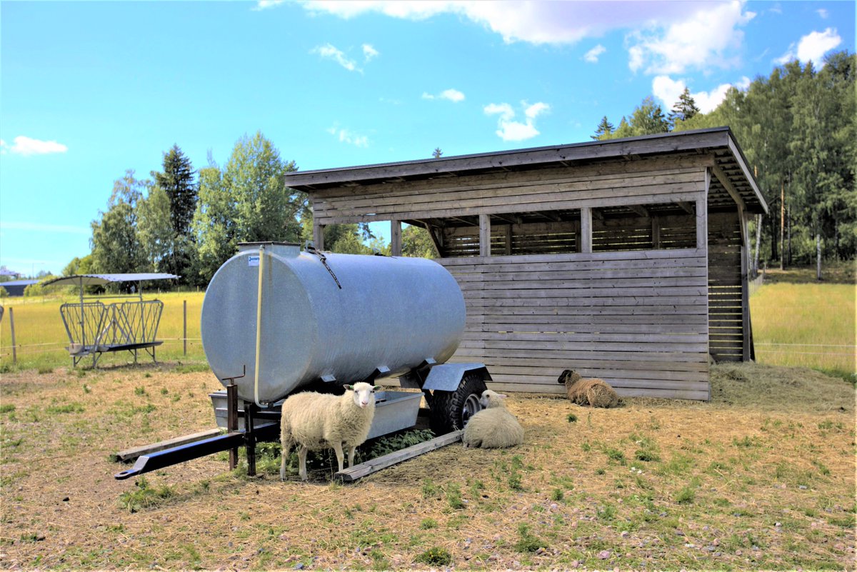 VantaanKaupunki's tweet photo. ☀️🐑🌿 #tikkurilan keskuspuiston #lammas -aitauksessakin lepäiltiin vielä #kesä n lämmössä kuluneella viikolla - vain ruohotuppoa tarjoamalla sai pörröisen ystävän hieman moikkaamaan 😋☘️
Lisää kesälampaista https://t.co/378nTnfMCp
#vantaa #kesälampaat
📷 Mari Lamminaho https://t.co/kLoA6iBU4z