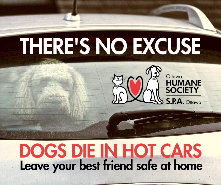 Never leave your dog alone in a parked car, even for a few minutes. On a summer day, the heat inside can cause serious injury or death.

Don’t risk your best friend’s life. Learn more:  ow.ly/UBXj50KbZfK