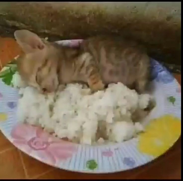 ⋆ ˚｡⋆୨♡୧⋆ ˚｡⋆ tweet media