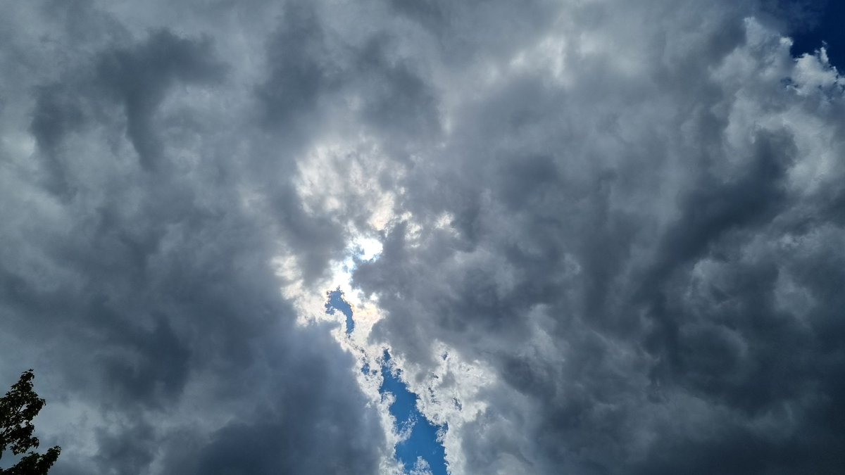 Ik, vanmorgen: snel even de stad in en boodschappen doen, dan kan ik daarna in de zon liggen!

Ik, wanneer ik eindelijk lig: