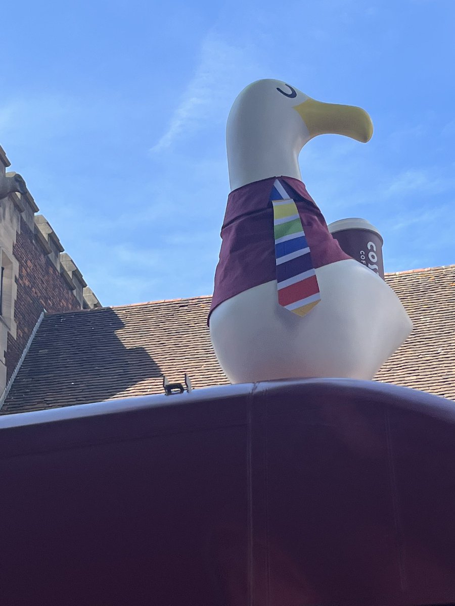 I’m hanging out <a href="/brightonprideuk/">Brighton Gay Pride</a> today but still time to tell you: please donate so our critical rescue work can continue 

gofund.me/276b737