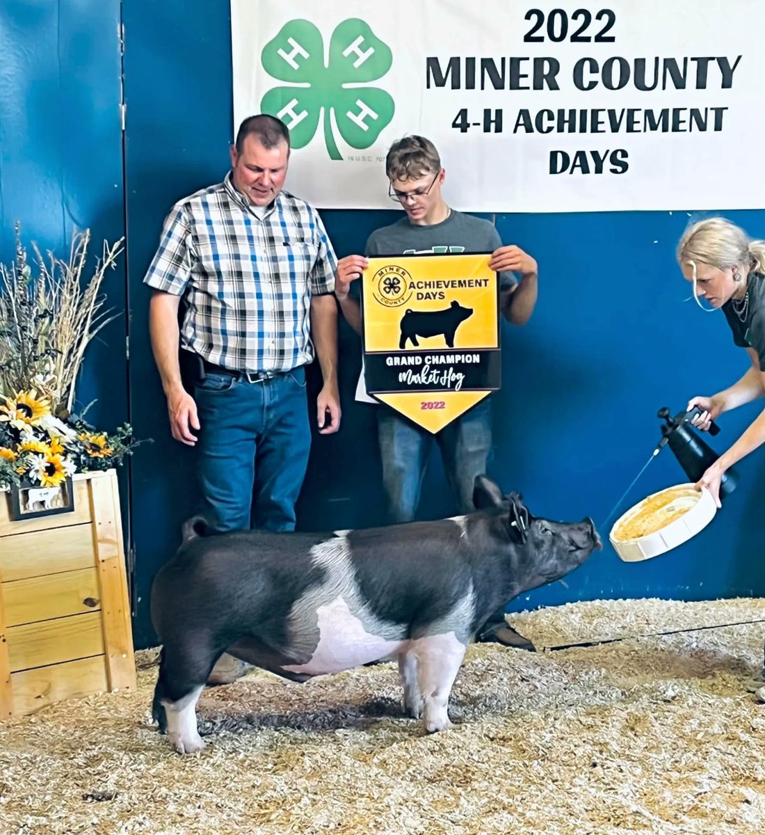 GRAND CHAMPION MARKET HOG
2022 Miner County Achievement Days, SD 
Sired by :: HIDDEN TREASURE
Raised by :: Lance Ryan Showpigs, IL
#SGIBOARS