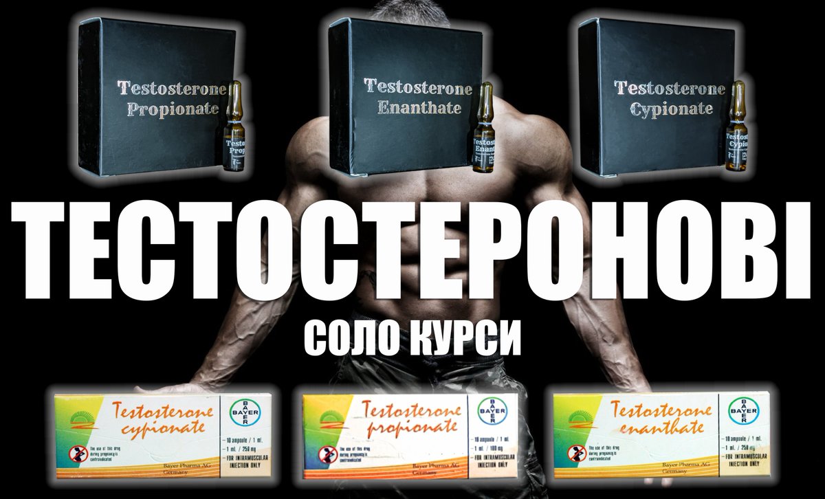 GerculesShop's tweet photo. 💉 Тестостерон - основний чоловічий статевий гормон, андроген, має виражені анаболічні властивості: збільшує м'язову масу, прискорює синтез білка.
🛒 В наявності всі ефіри Тестостерону, таких зарубіжних брендів як:
#bayer #aburaihan #testosterone #тестостерон #енантат #Україна https://t.co/kzPQzrdfXv