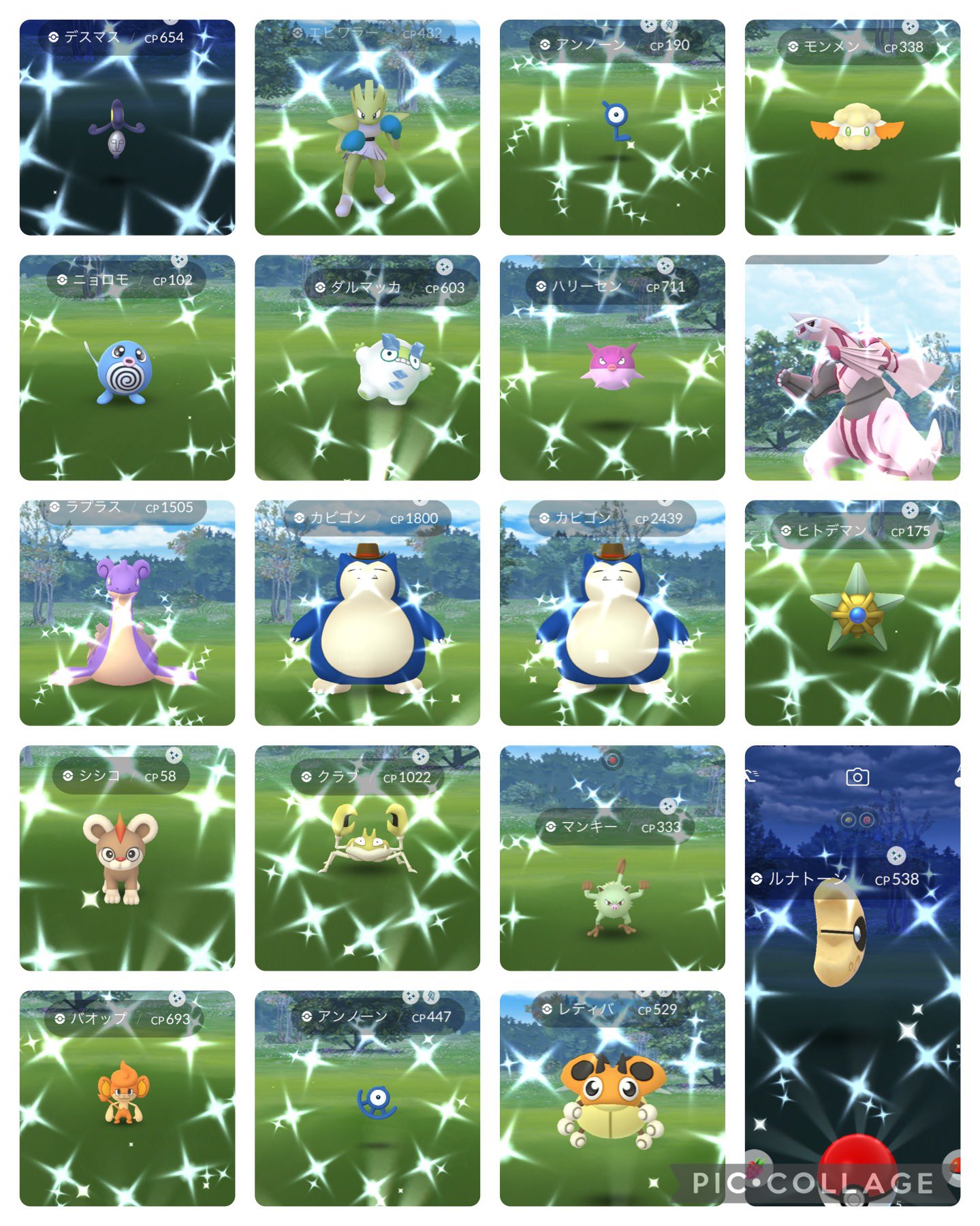 ポケgo図鑑オスメス埋めたい派 Pgo Hassam Twitter