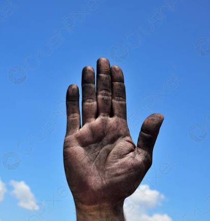 kraft_is_wckd's tweet photo. Proud to join @TGTAlpha gang!
I am now the proud owner of this oily & dirty palm!
#CNFT #TGTAlpha https://t.co/59oPQS6poM