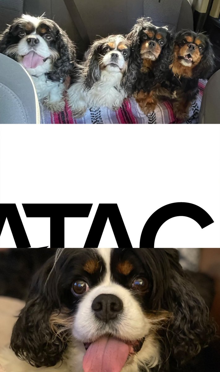 VC_STRATAC tweet picture
