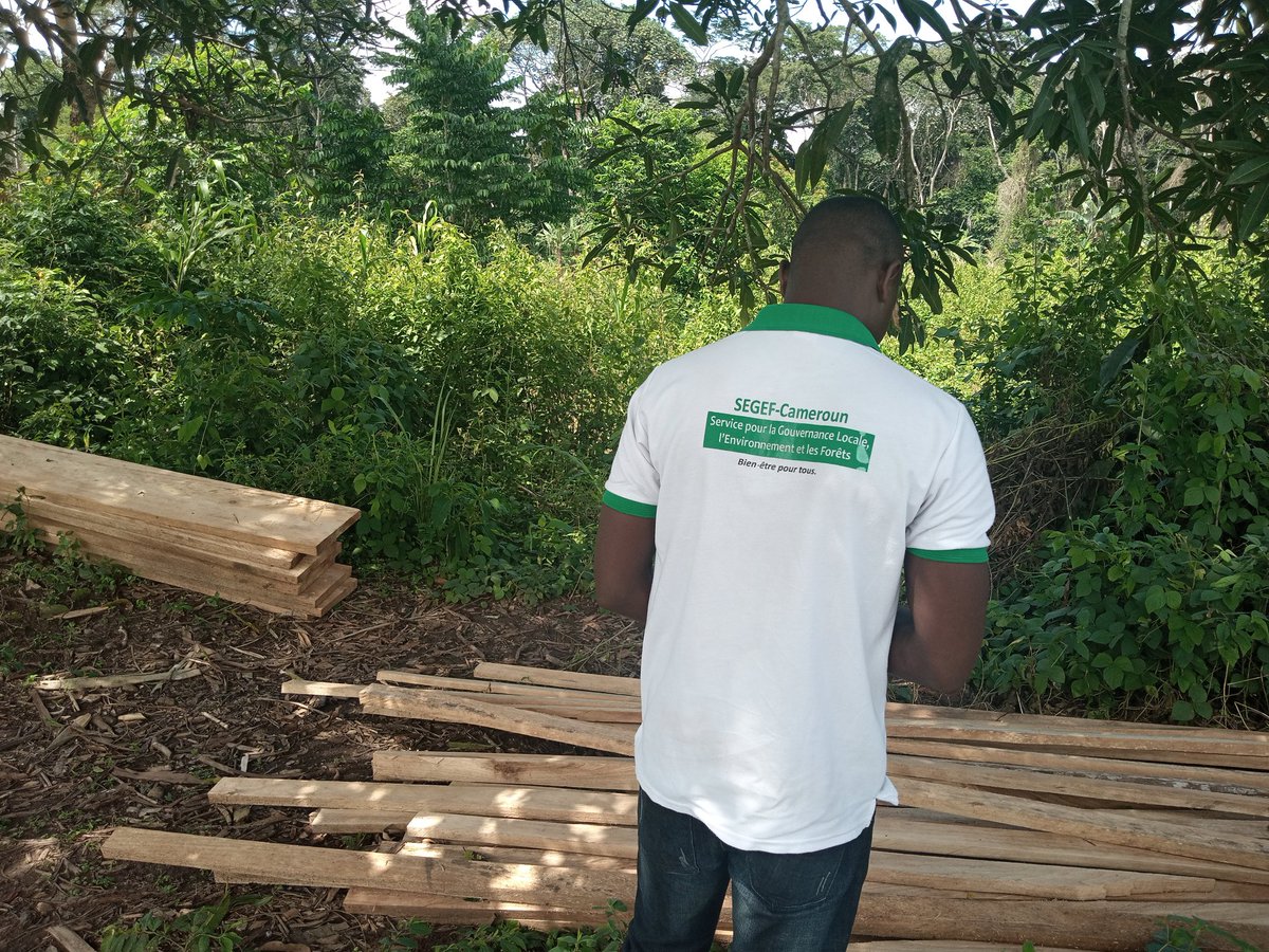SEGEF Cameroun tweet media