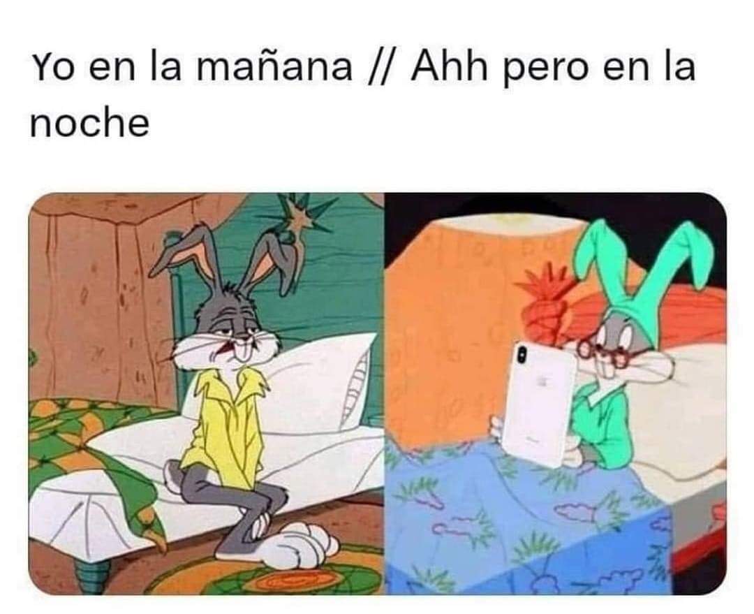 yasney_com's tweet photo. this is so me 🤣🤣 https://t.co/ZvSphO0Kuq