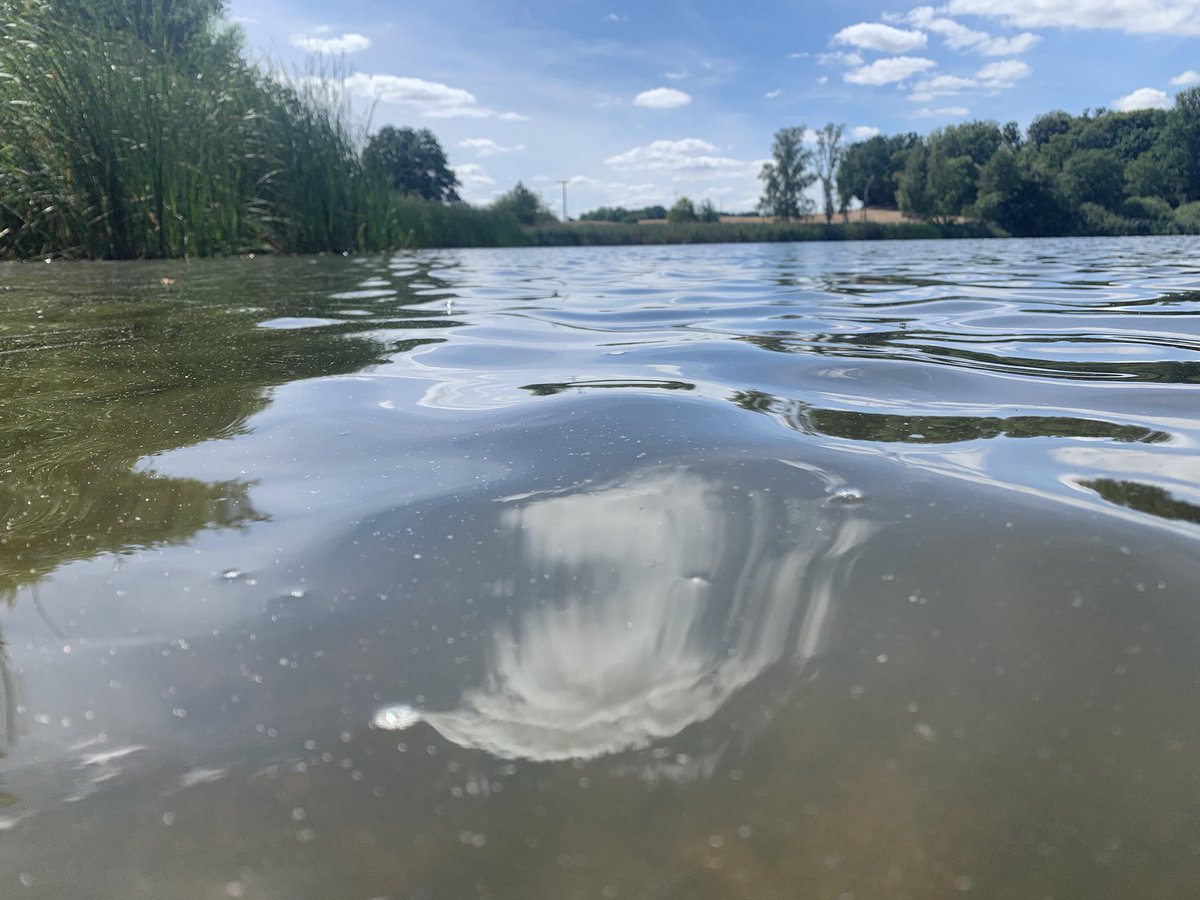 rail_jazzer's tweet photo. 6. August - Wandern rund um Moritzburg https://t.co/kYXac4ncpt