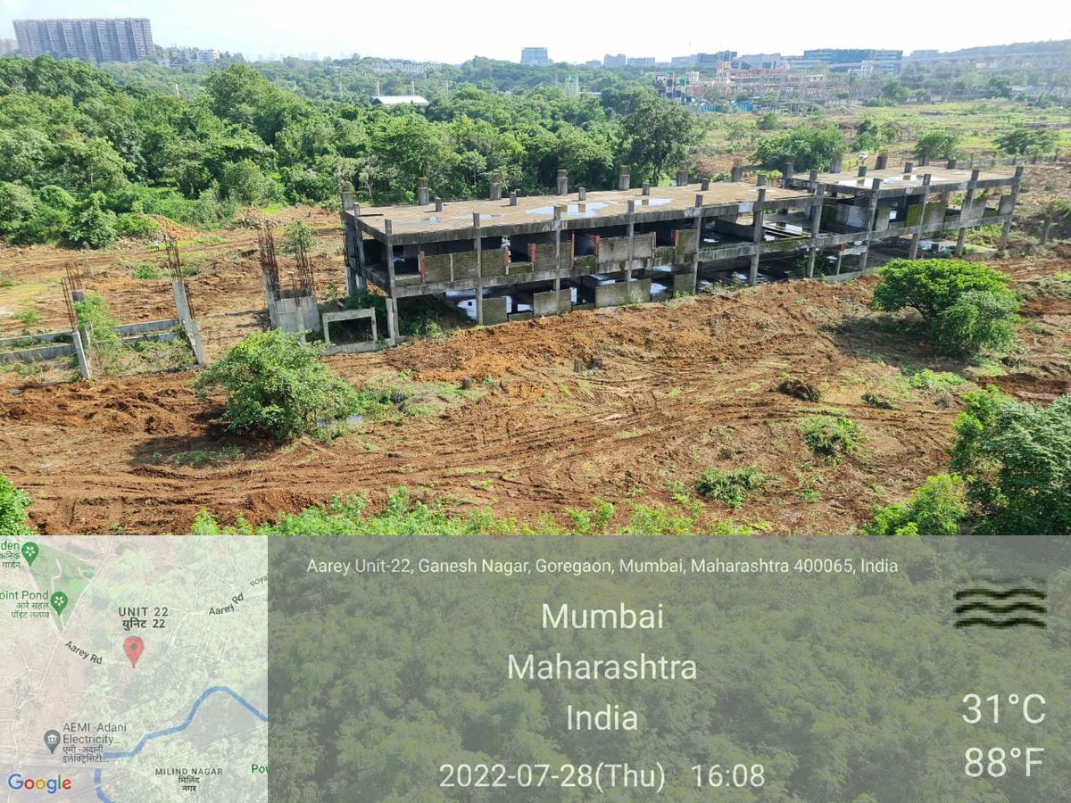 Despite of visuals showing tree cut inside the carshed plot and other areas in Aarey,
Authorities are blatantly lying that only trimming and clearing of shrubs being done!

#JusticeForAareyForest
#MMRCLDontLie