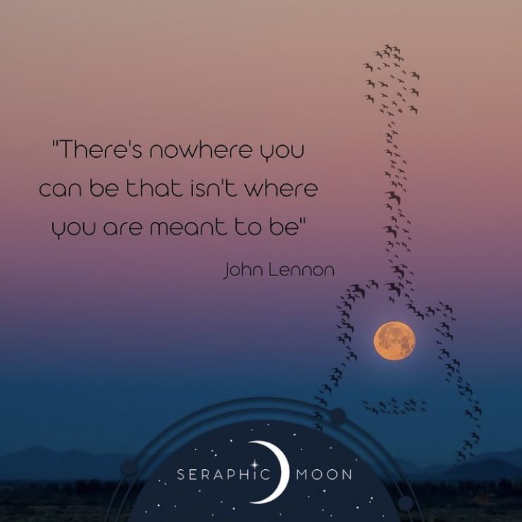 #lennon #allyouneedislove #stonehaven