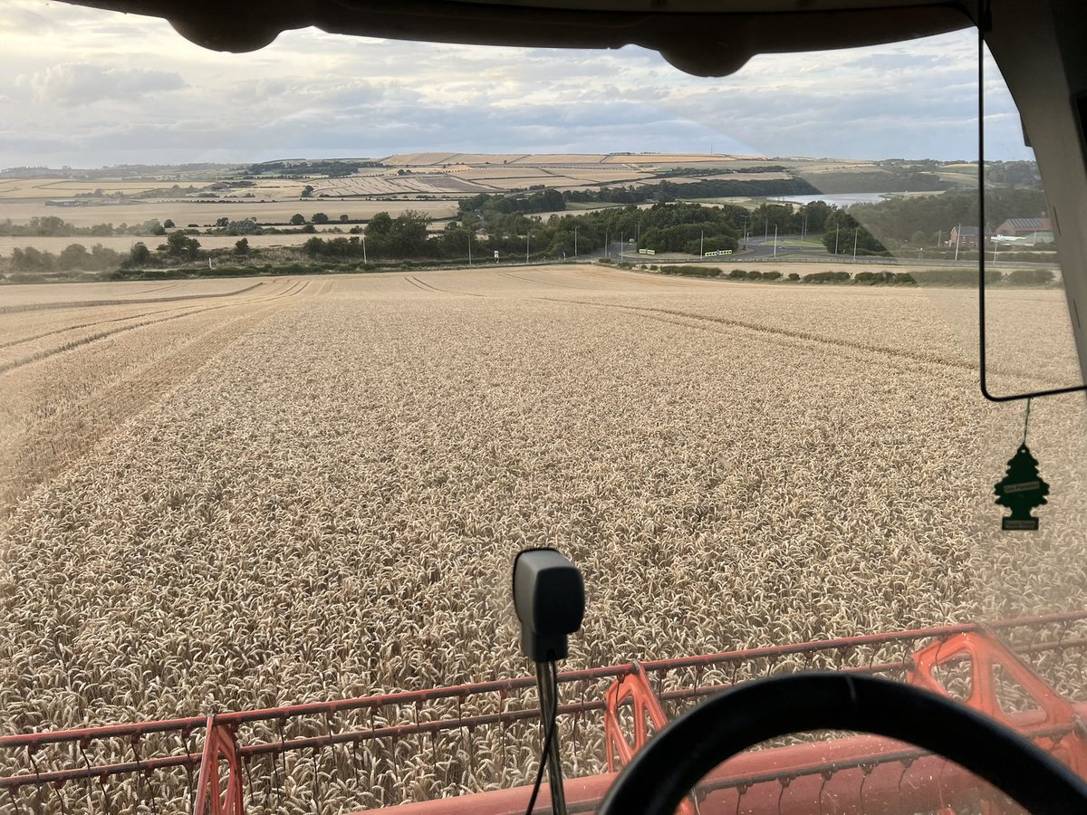 Cutting wheat at 15% in North Northumberland on the first week of August, sign me up for a harvest like this every year