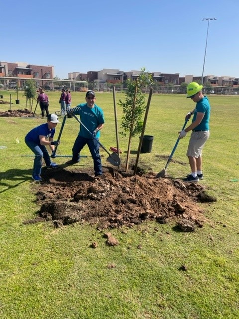 apsFYI's tweet photo. We are accepting apps for the APS Community Tree Program, which helps fund tree planting projects in communities who suffer the most from heat island effects and lack adequate shade because of low tree equity. Visit https://t.co/F8siuwSBXr to learn more and apply. https://t.co/s6n63JBkJh