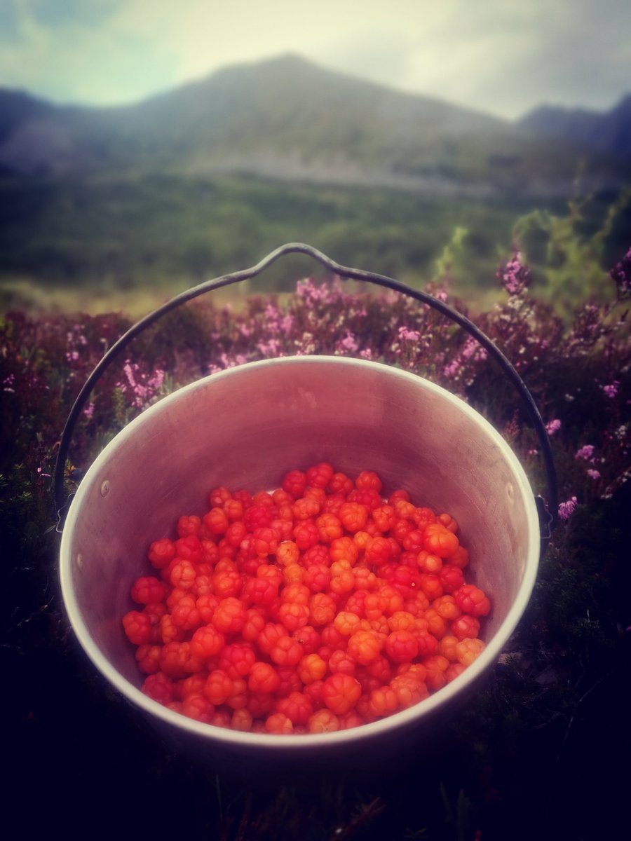 MagnusDybvik's tweet image. Ei gryte med gull under Nordtind.

#grytøya #multer