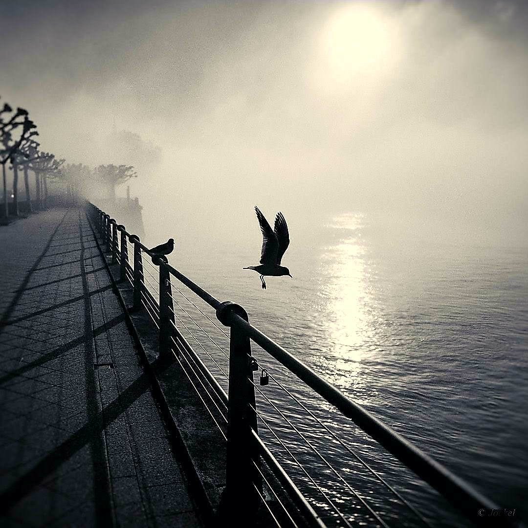 Mia (@mia3n) on Twitter photo 