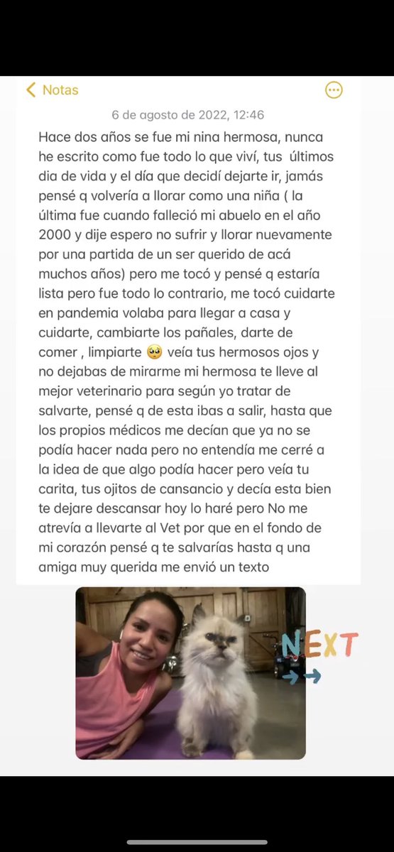 aamn91's tweet photo. Hace dos años de tu partida mi nina🤍
#mejoresamigos #CatsOfTwitter #catlovers #historia https://t.co/3Zj2x7AVGr