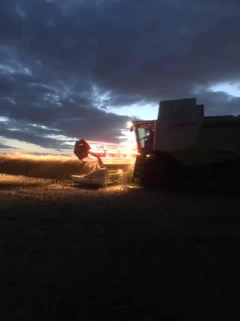 mfmark232's tweet image. 