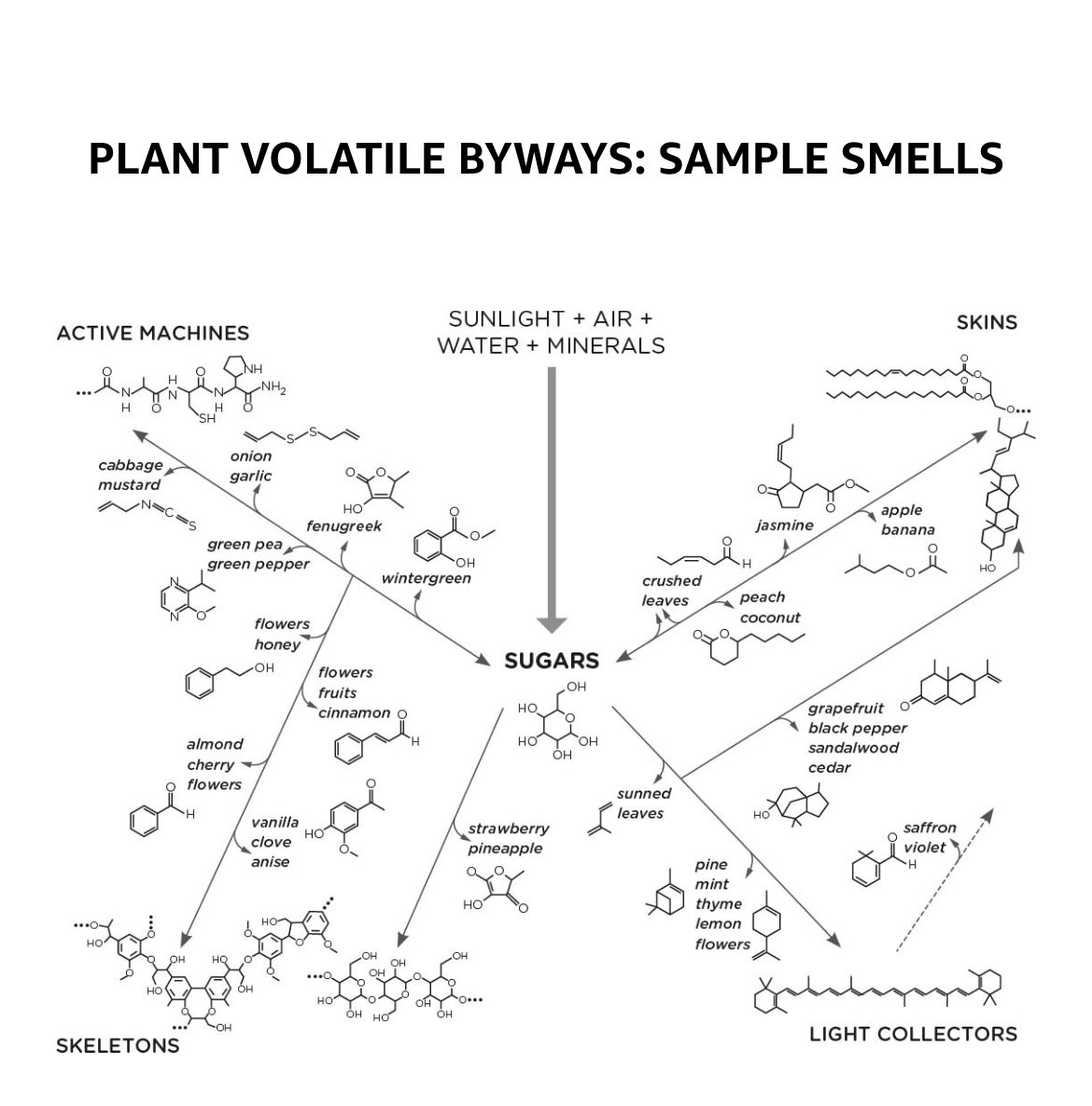 Mar Sieira (@marsieira) on Twitter photo 