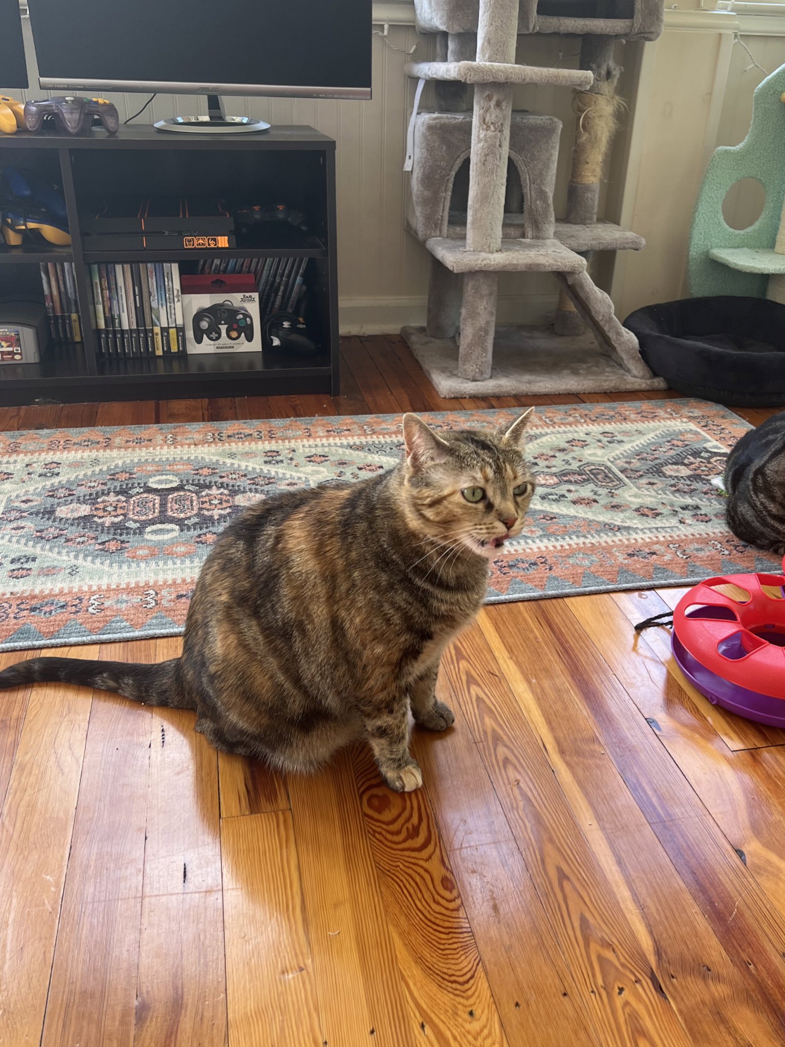bee-on-twitter-when-you-walk-outside-n-smell-that-zaza-https-t