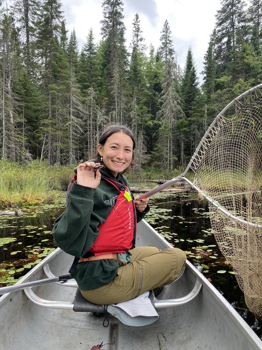 megan__abe's tweet photo. Just had the most amazing and inspiring 12 days at the Algonquin Wildlife Research Station for #BIOL4410 with @uofg. Huge thanks to @Newman_lab and @Ecology_forlife for teaching us and encouraging us to learn as much as possible! https://t.co/TBYFZL4rIy