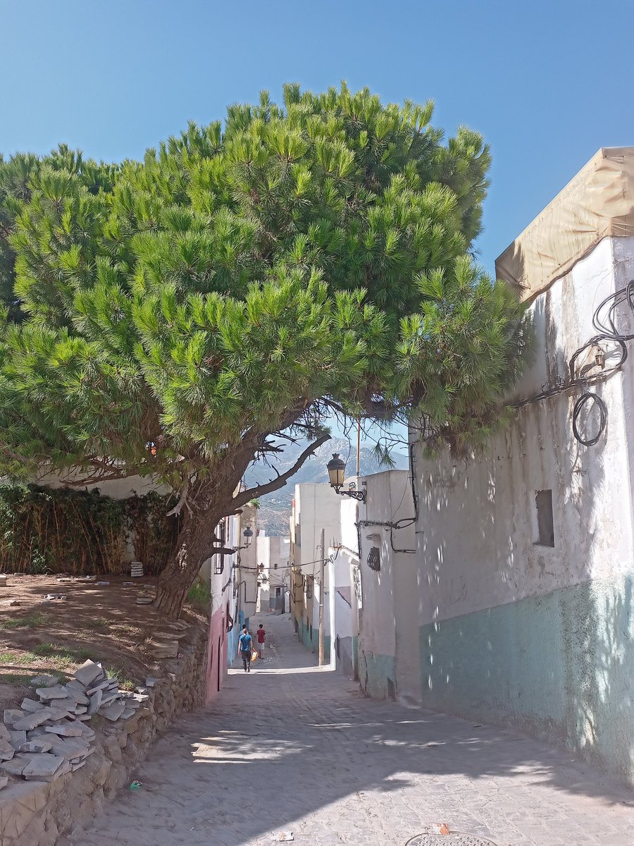 JesseHamel5's tweet photo. Tétouan🕊️🇲🇦♥️ https://t.co/dZwQeX8eNl