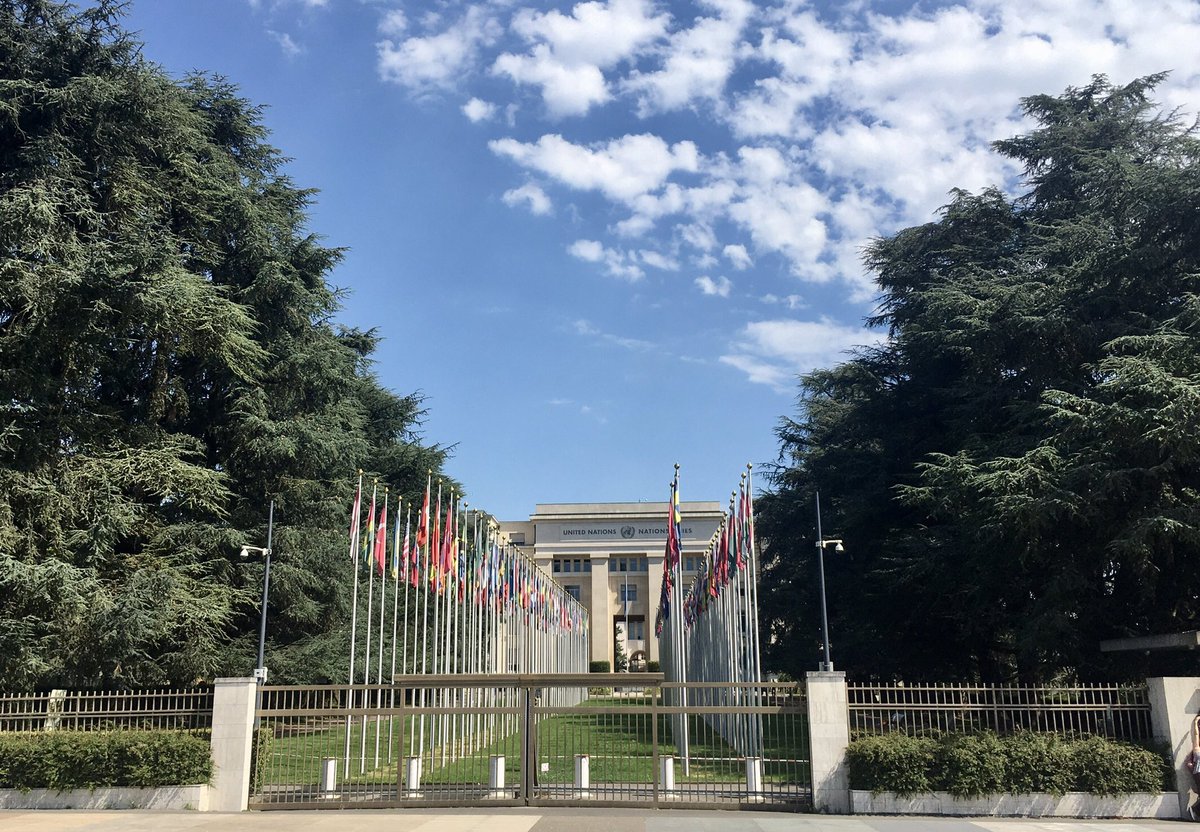 Elizabe33874091's tweet photo. Great few days working at UN Geneva archive researching the socialist bloc and the internationalisation of children’s rights #UNOGLibrary #ChildRights https://t.co/Gtm11njkOa