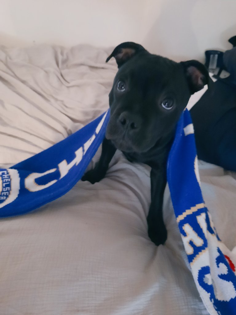 Mr. Magic 🧙‍♂️ tweet media