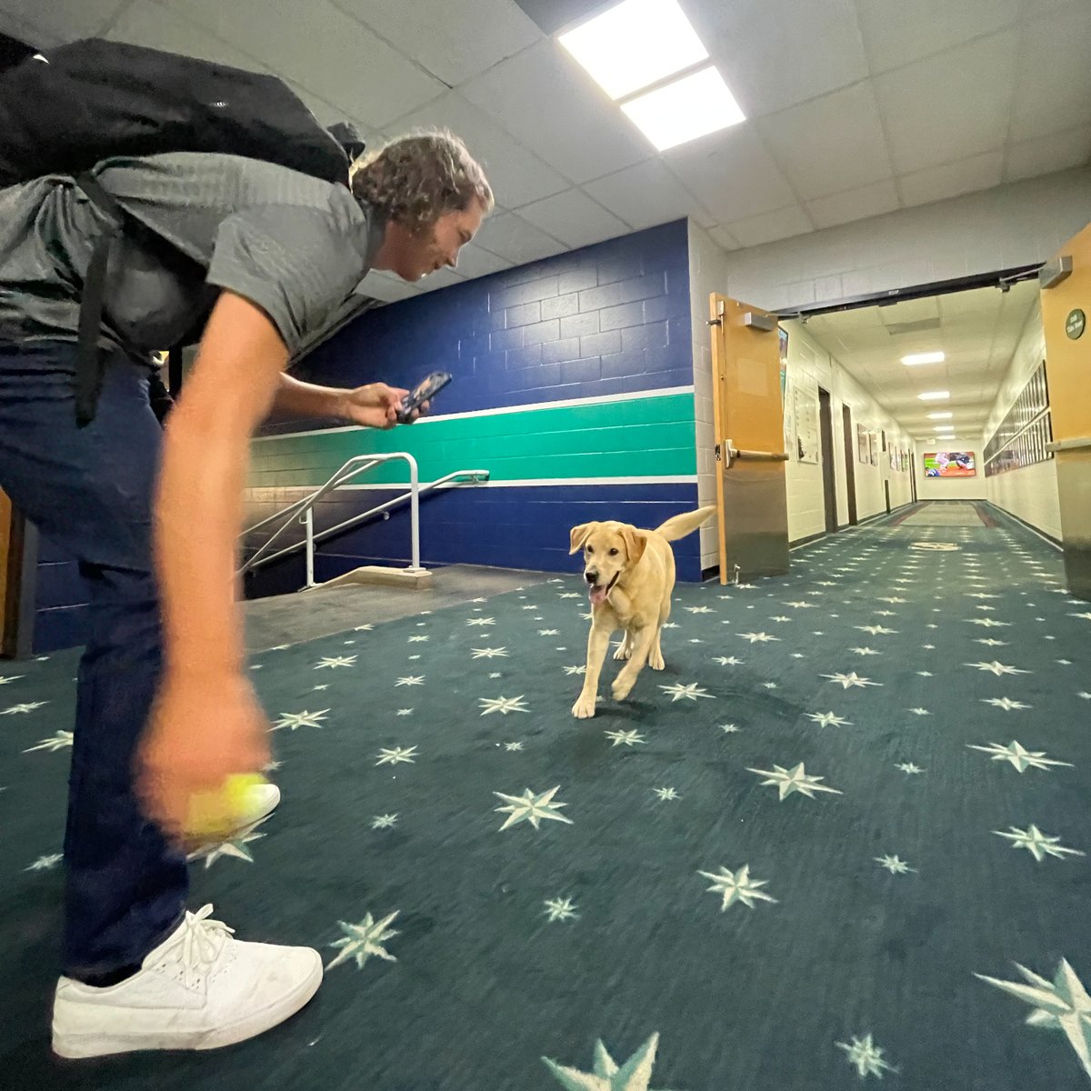 Mariners adopt clubhouse dog Tucker