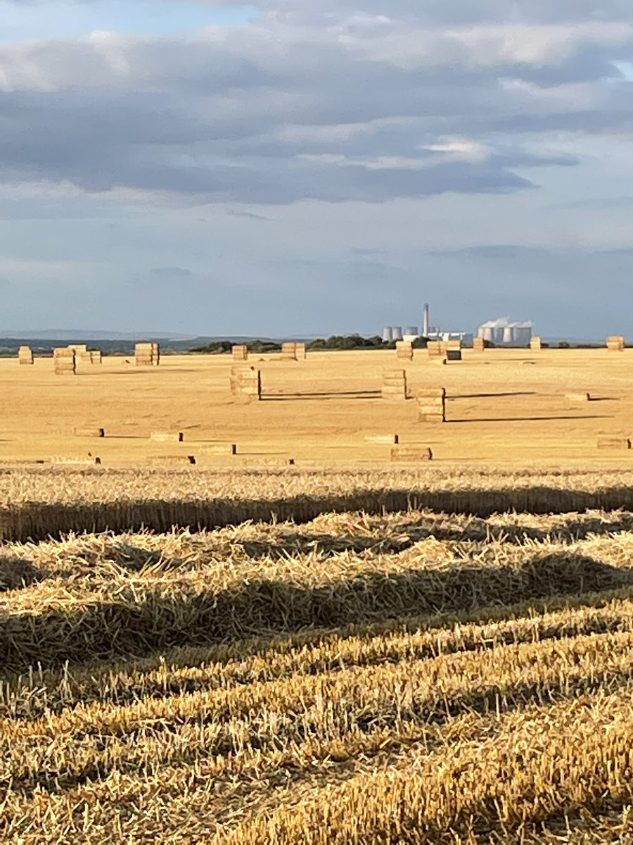 mfmark232's tweet image. 