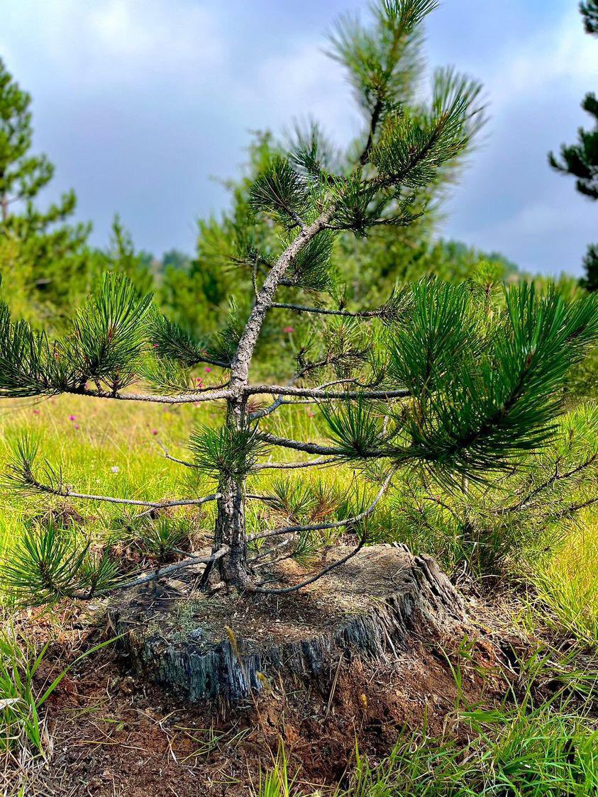 Her şey bitti dediğin anda, o yeniden başlıyoruz der.