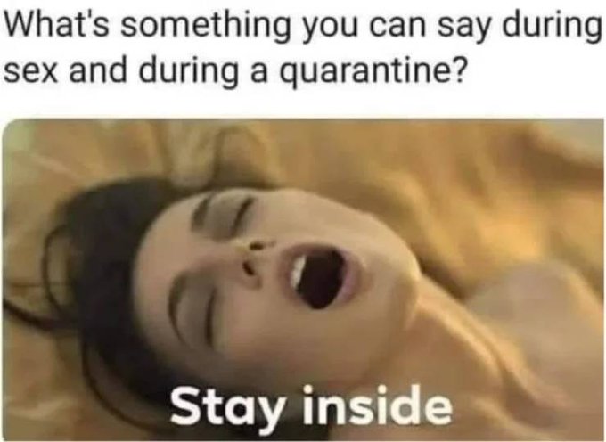 Hey guys when you're in quarantine 👀 https://t.co/A2Ei4LneYm<a href="/tag/nsfw"class="tags"><span>#nsfw</span></a><a href="/tag/animalcrossing"class="tags"><span>#animalcrossing</span></a><a href="/tag/isabelle"class="tags"><span>#isabelle</span></a><a href="/tag/eroticaudio%20"class="tags"><span>#eroticaudio </span></a>