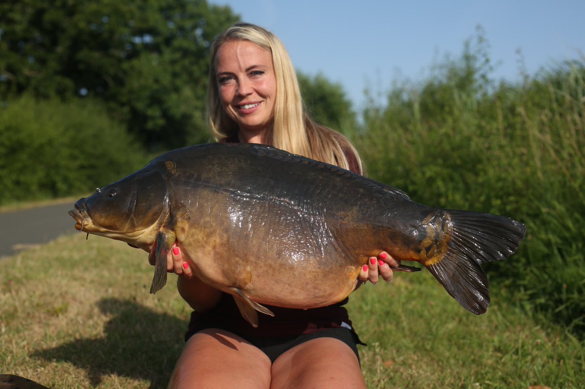 Beverley Clifford tweet media