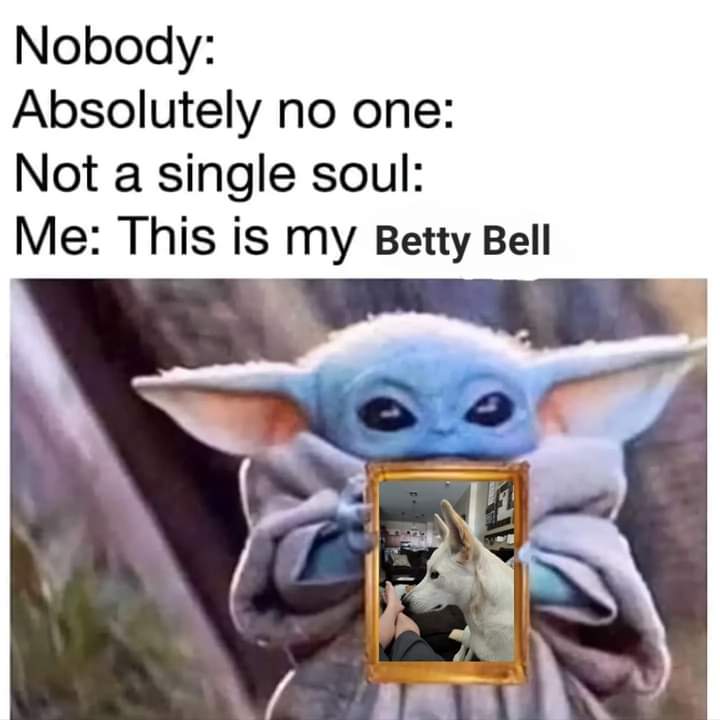 BettyBellWhite's tweet photo. My my Dad is so embarrassing. He made this Meme and actually shared it on Facebook. #BettyBellWhite #CarolinaDog #carolinadogsofficial #carolinadogsofinstagram #memes #puppiesofinstagram #cutedogs #dogoftheday #dogsofinstagram #DogsofTwittter https://t.co/JUxTUh31XG
