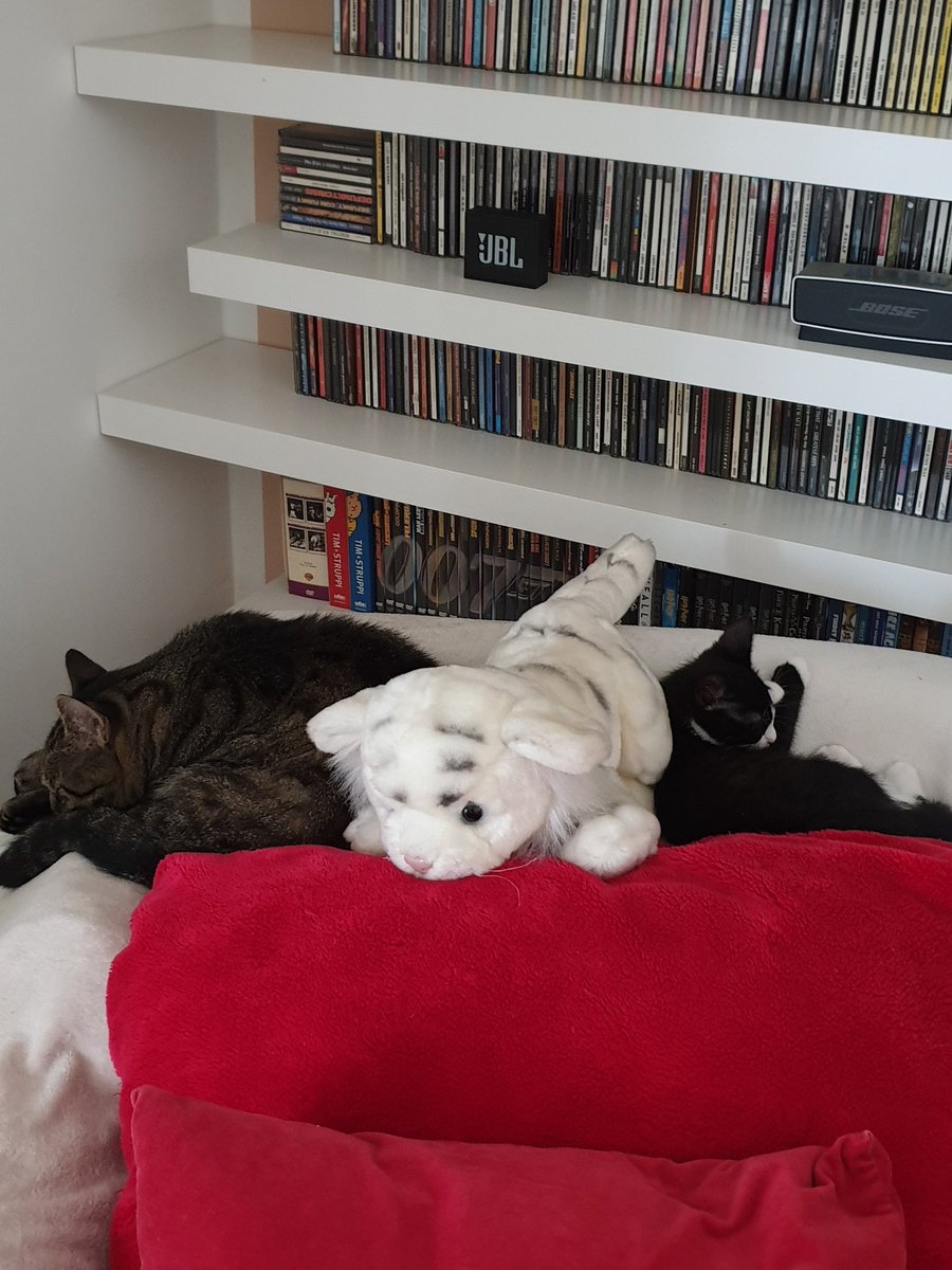 Da teilen sie sich das Kuscheltier 🤩😍