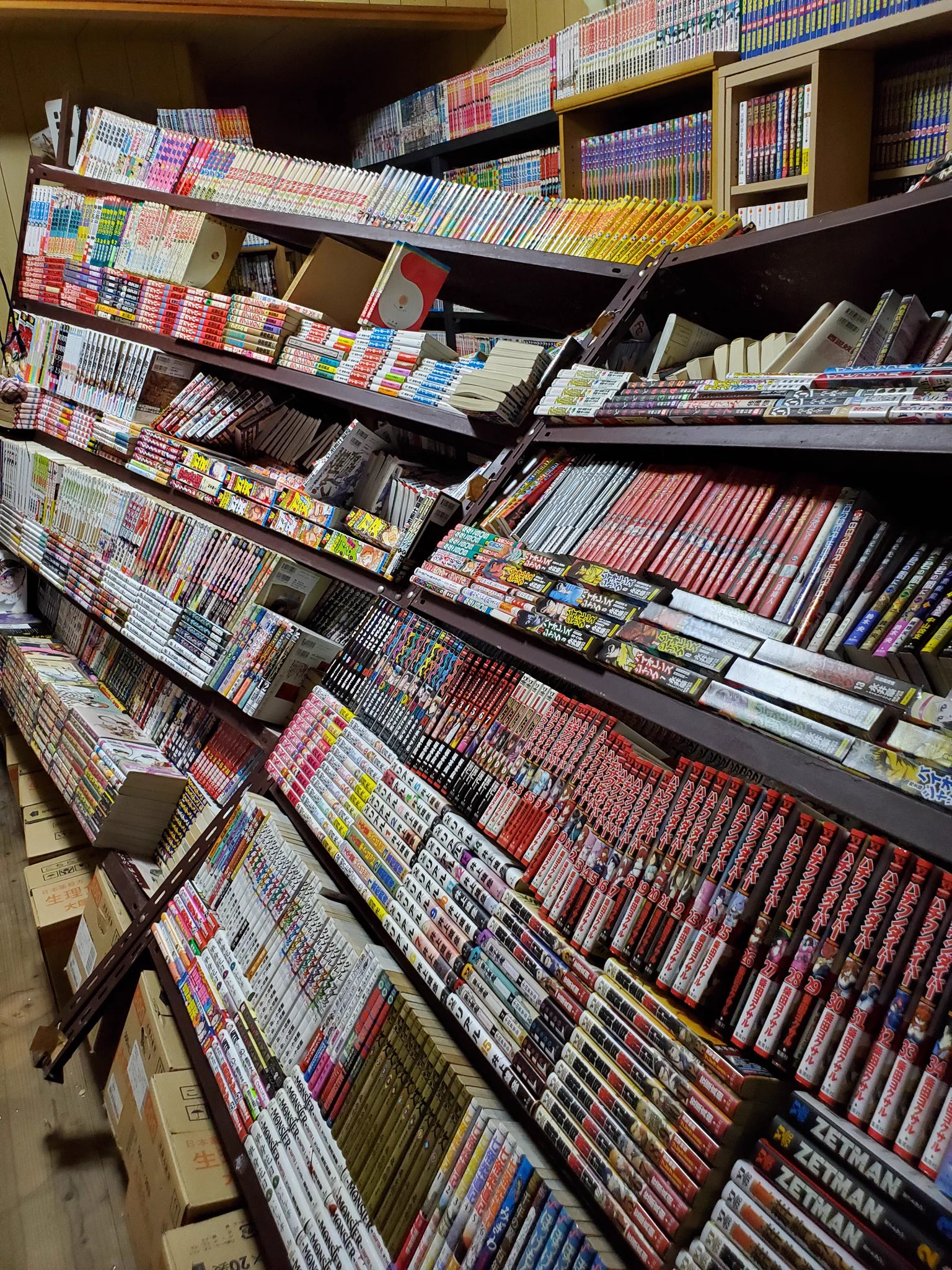 漫画部屋の崩壊とは！？見るだけで絶望してしまう写真がコチラ！