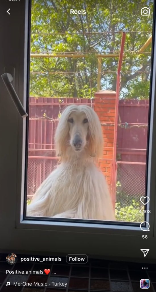 Shirley Carter’s Pussy tweet media