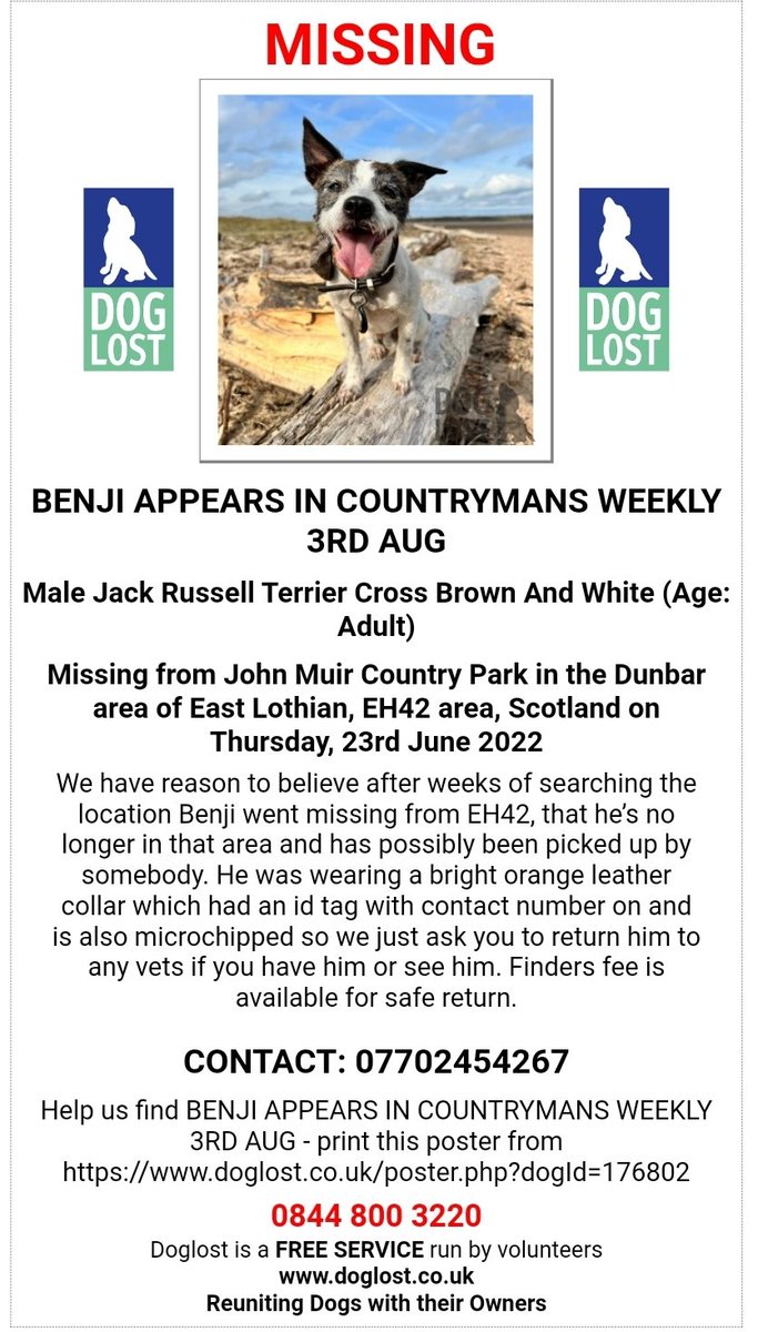 MissingPetsGB's tweet photo. @Amy88216205 BENJI still #missing ๐
Lost in John Muir Country Park in the Dunbar area of East Lothian
He was wearing a bright orange leather collar which had an id tag with contact number on and is also microchippedย https://t.co/h4dVJvmBmH https://t.co/UhyMsxtyWS