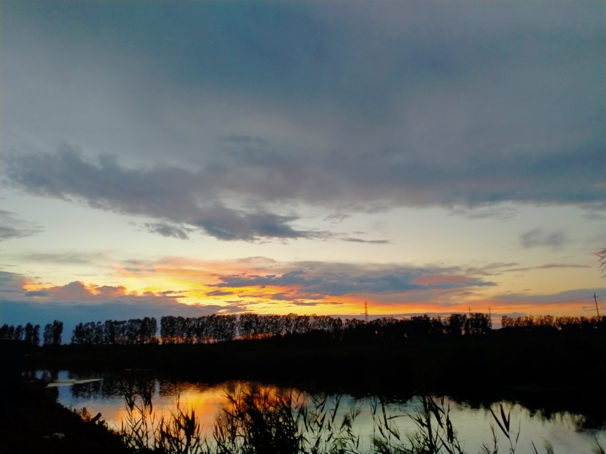 xiaoxiaojiuwod1's tweet photo. Pictures taken in the backyard
#傍晚 在#后院 拍的#照片
#裏庭で撮った写真
#evening #rosyclouds #彩色雲
#sunset glow #夕焼け #China https://t.co/fy3Pb5Uqi8