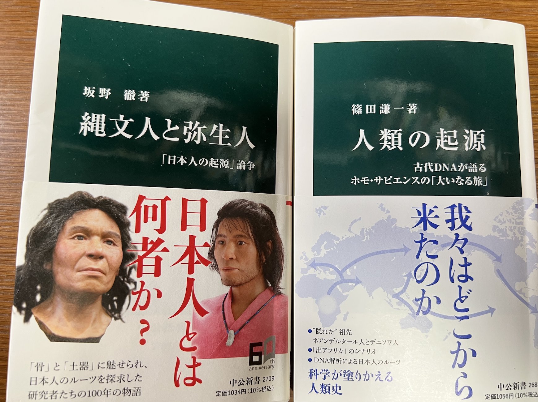 新書源 ハードカバー 白黒ストライプ 二玄社 語学・辞書・学習参考書