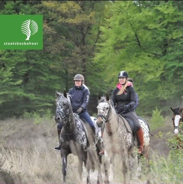 Aanstaande maandagavond kan je mee met <a href="/staatsbosbeheer/">Staatsbosbeheer</a> De Grote Vijf reeënexcursie te paard! 🐴 In samenwerking met manege Les Chevaux neem ik je mee door boswachterij Exloo en vertel je alles over reeën 🦌 Als we geluk hebben, zien we ze ook! Ga je mee? staatsbosbeheer.nl/uit-in-de-natu…