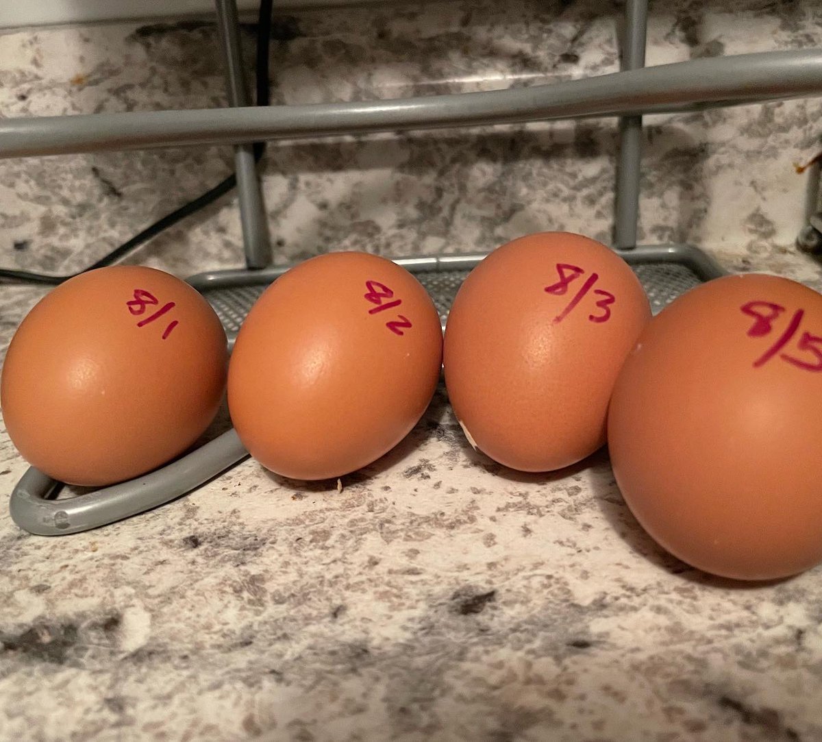 KitKatEDU's tweet photo. Enjoyed our first 6 little eggs we ate for breakfast this morning! #delicious #FabFiveProduction #FabFive🐓🥚🐔 #hensofinstagram #chickensofinstagram https://t.co/IJzDKngxlf
