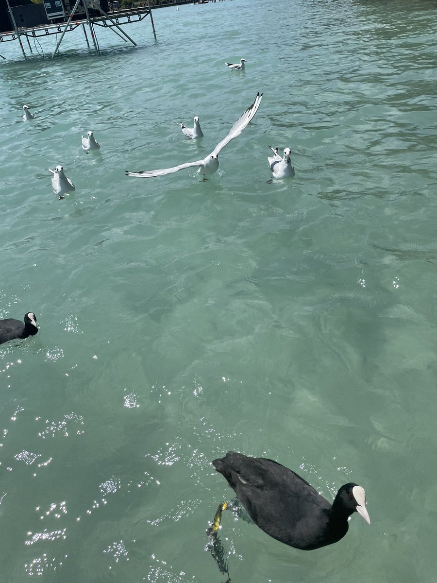 Marianne Berthelot tweet media