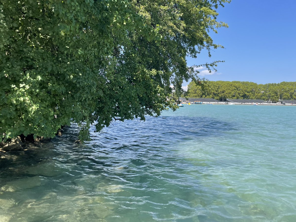 Marianne Berthelot tweet media